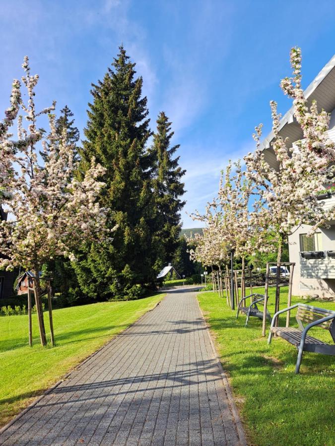 Resident Harrachov Family Apartment Zewnętrze zdjęcie